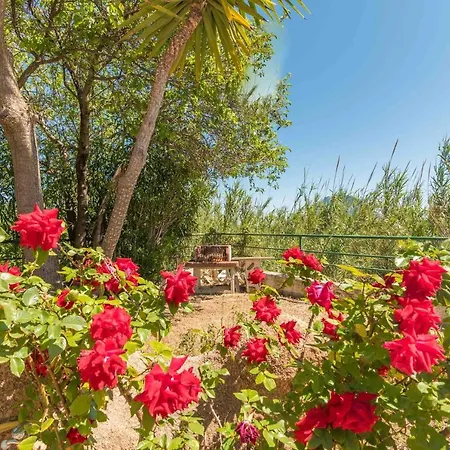 Apartment Trilo Debora 2km From The - Happy Porto San Paolo (Sardinia)