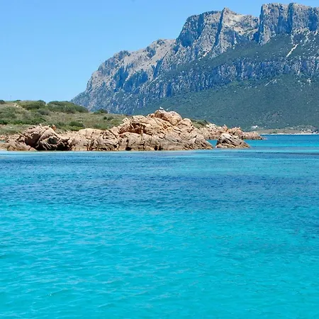 Trilo Debora 2km From The - Happy Porto San Paolo (Sardinia)