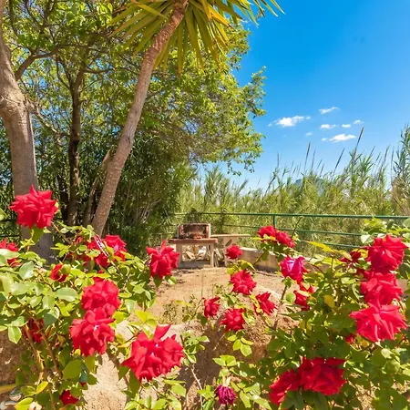 Trilo Debora 2km From The - Happy Appartement