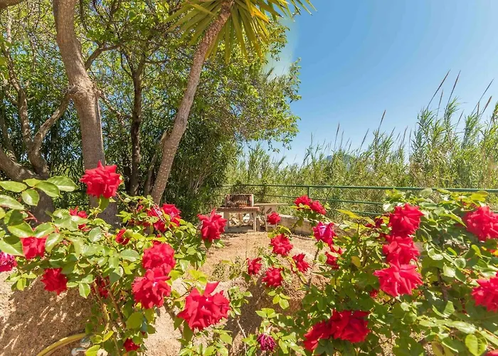 Appartement Trilo Debora 2km From The - Happy Porto San Paolo (Sardinia)